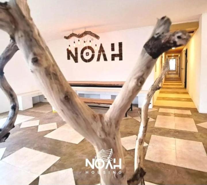 Noah Housing Hostel Santo Tome  Exterior photo